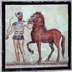 charioteer_mosaic charioteer_mosaic