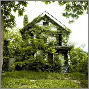 feral-house feral-house