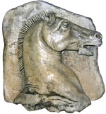 roman-horse
