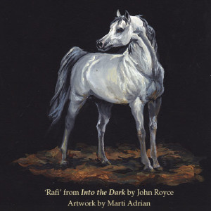 ‘Rafi’ from Into the Dark by John Royce - Artwork by Marti Adrian | (c) 2012 Micron Press